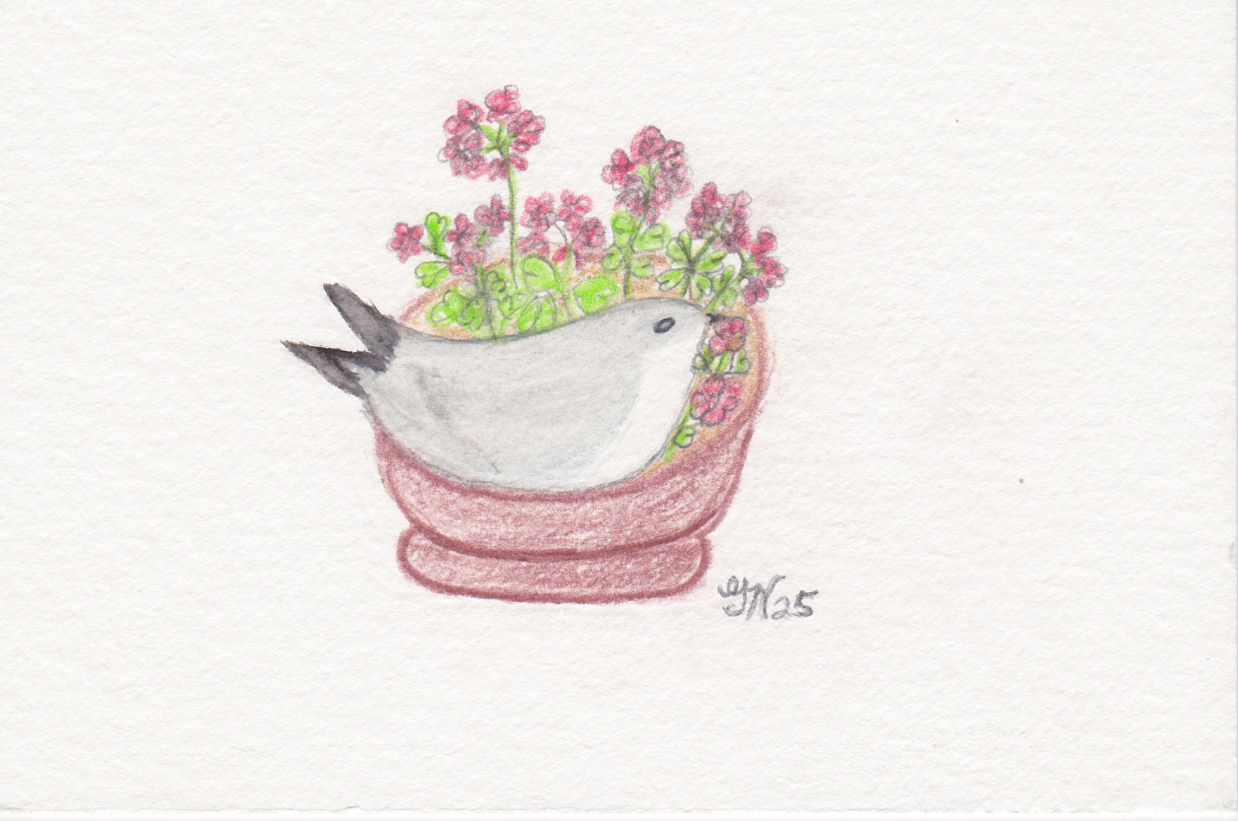 Bird Nest 3