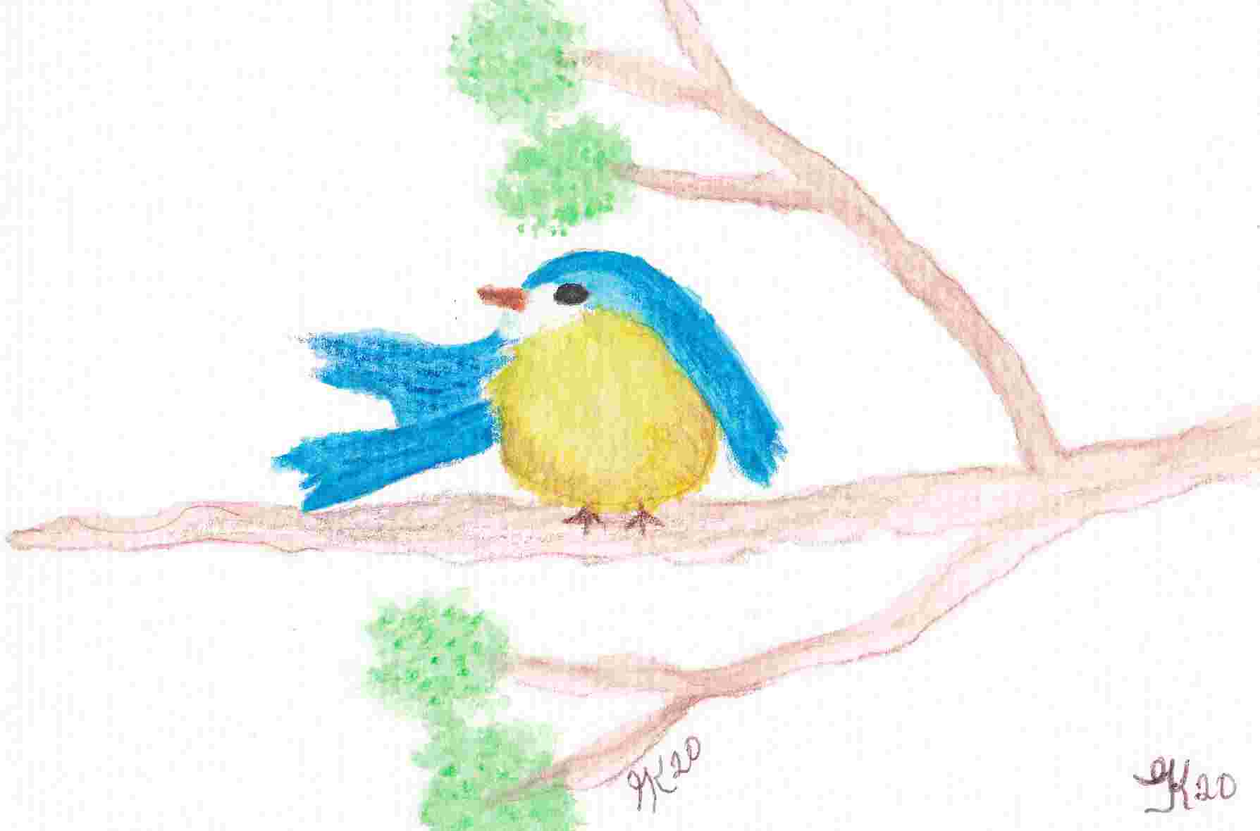 Blue Bird 1