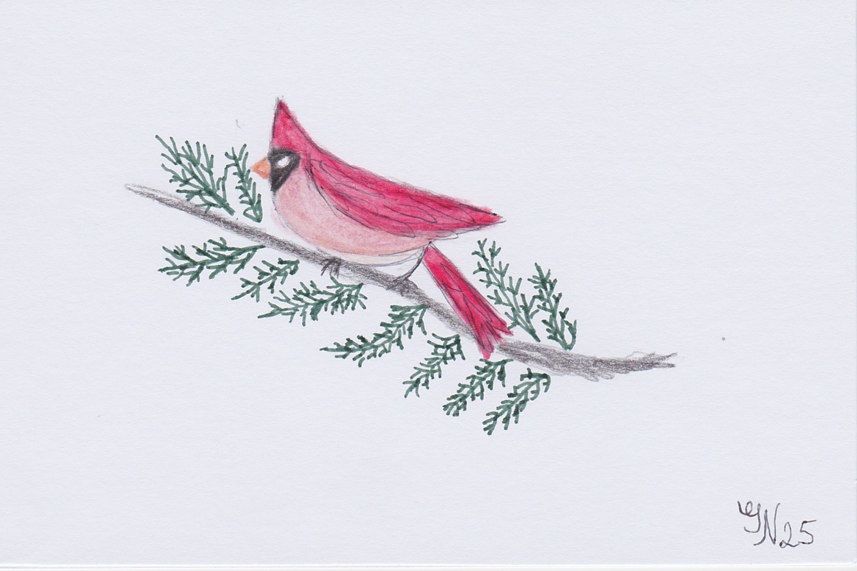 Red Bird 1