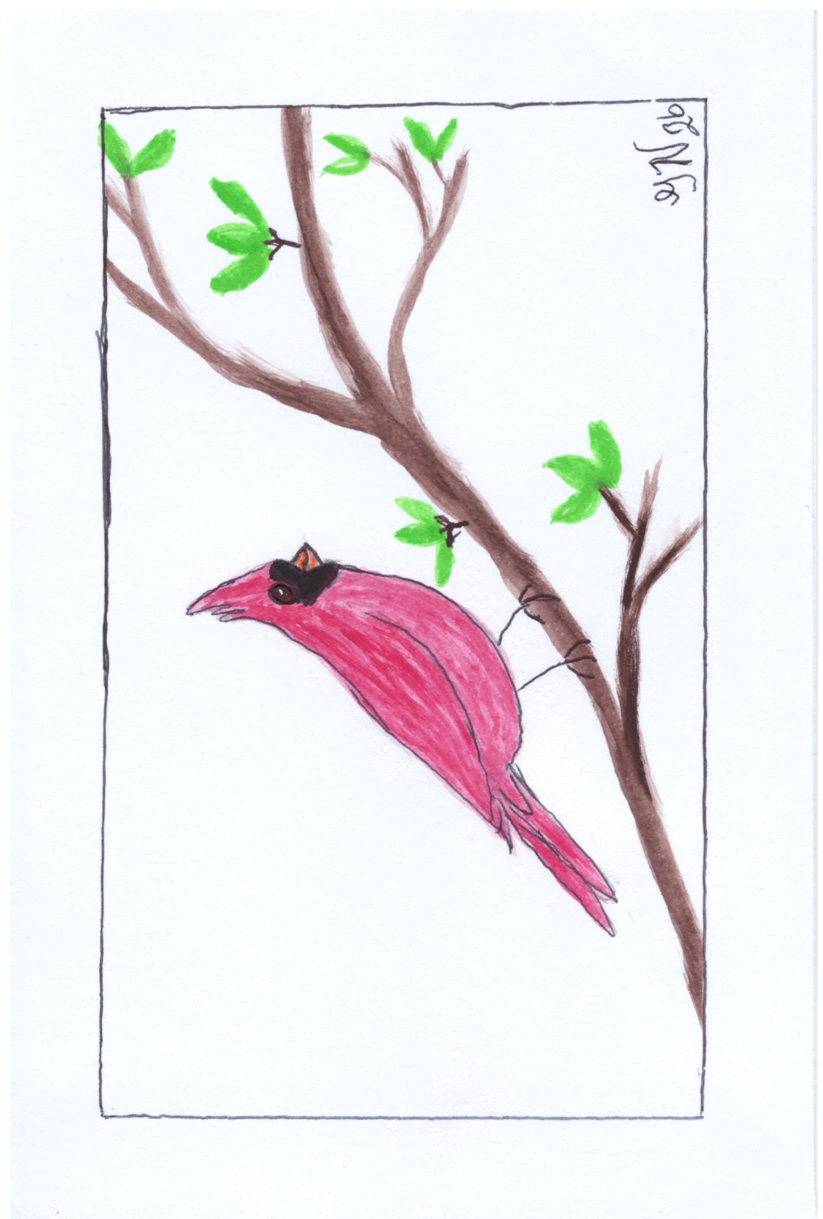 Red Bird 4