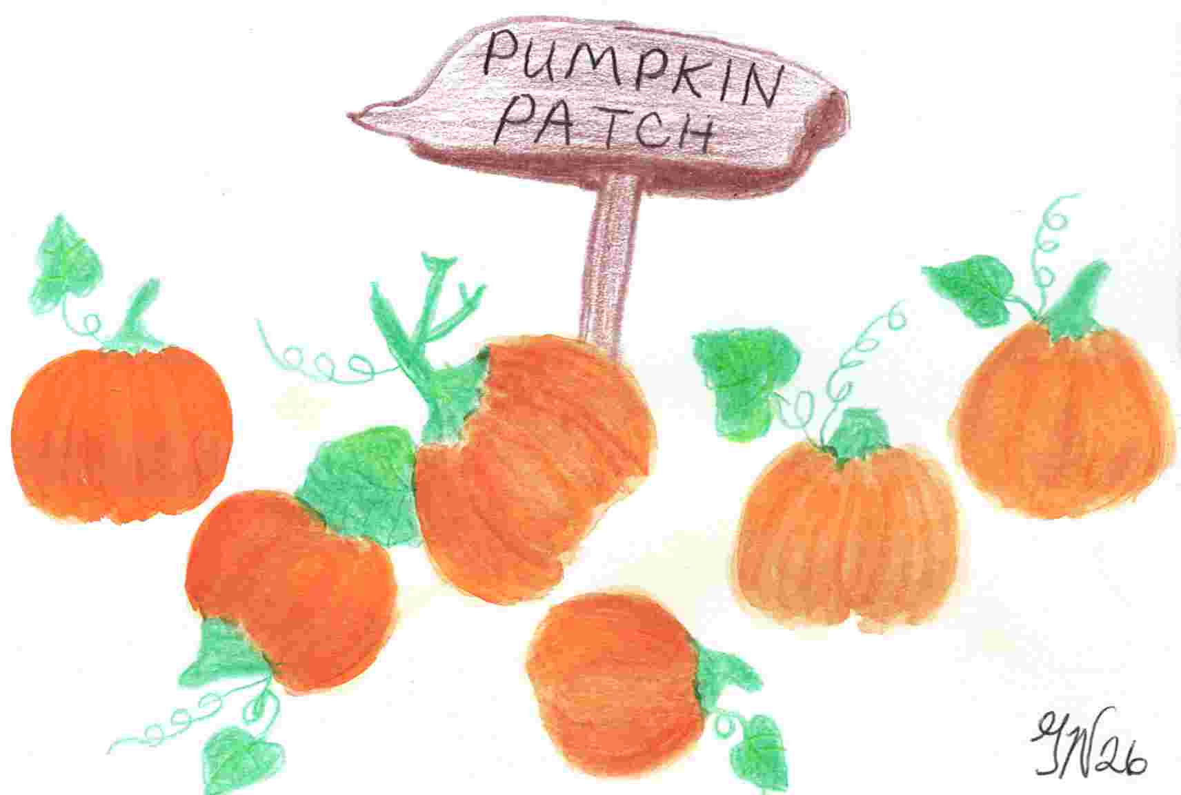 Pumpkin Patch