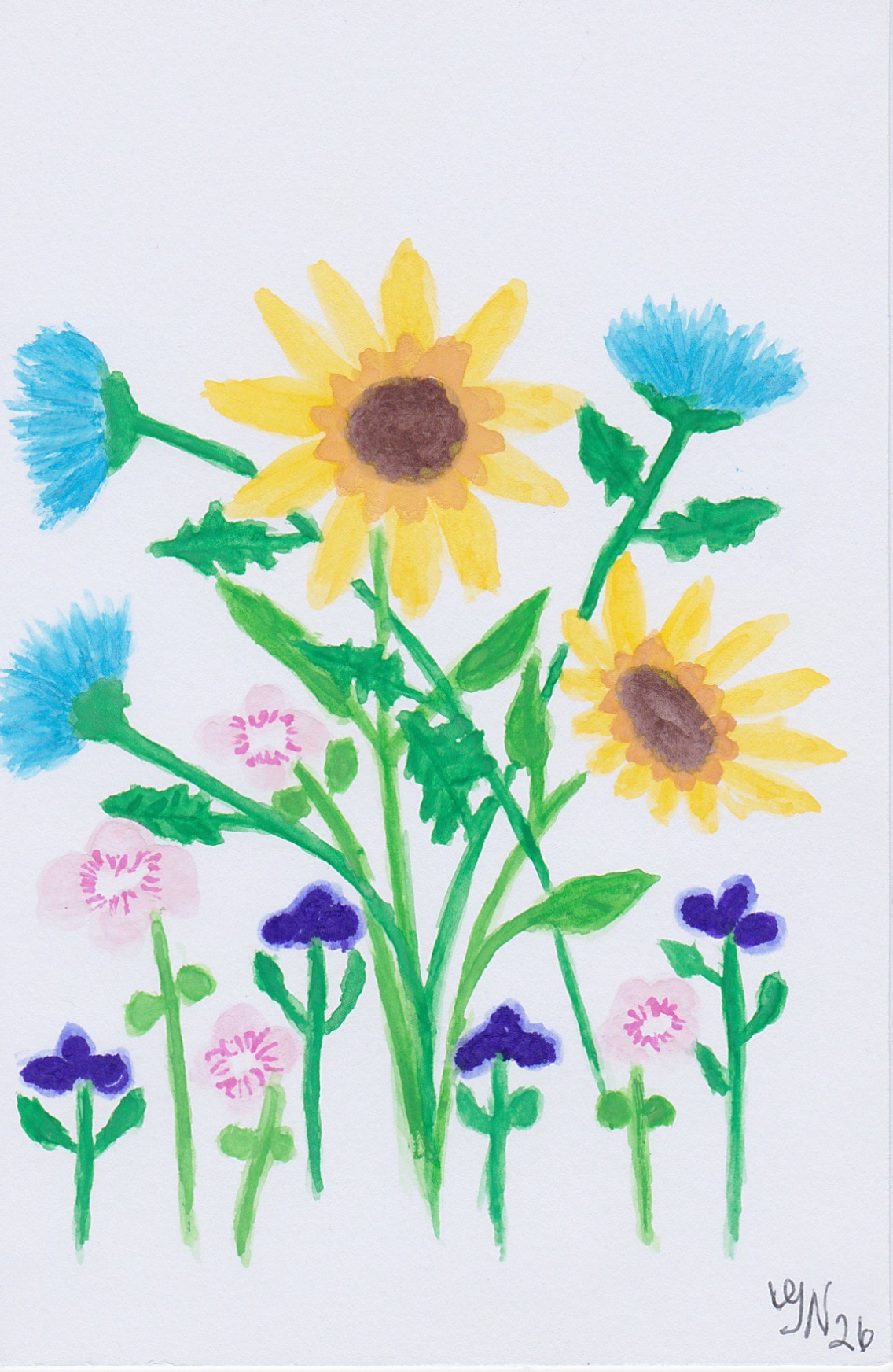 Wild Flowers 2