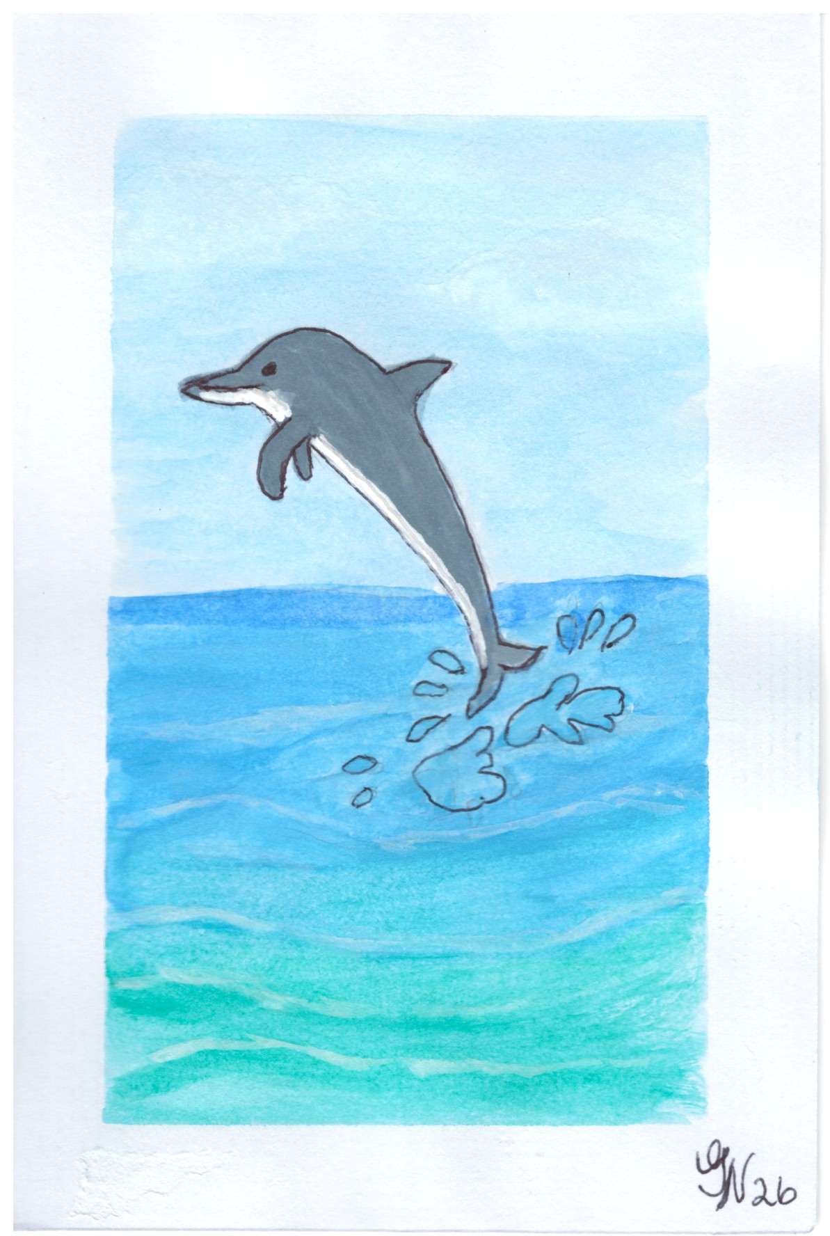 Dolphin