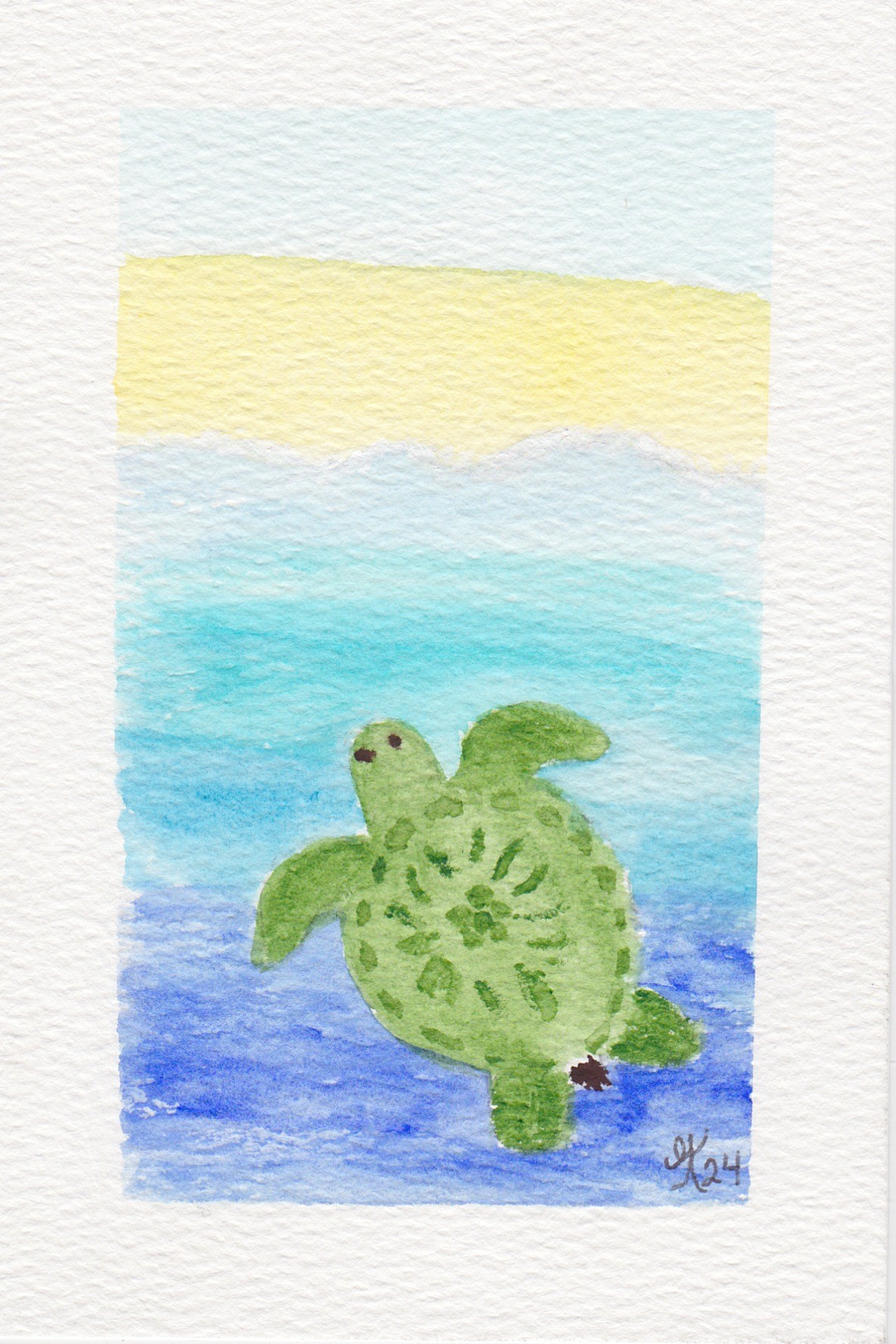Turtle